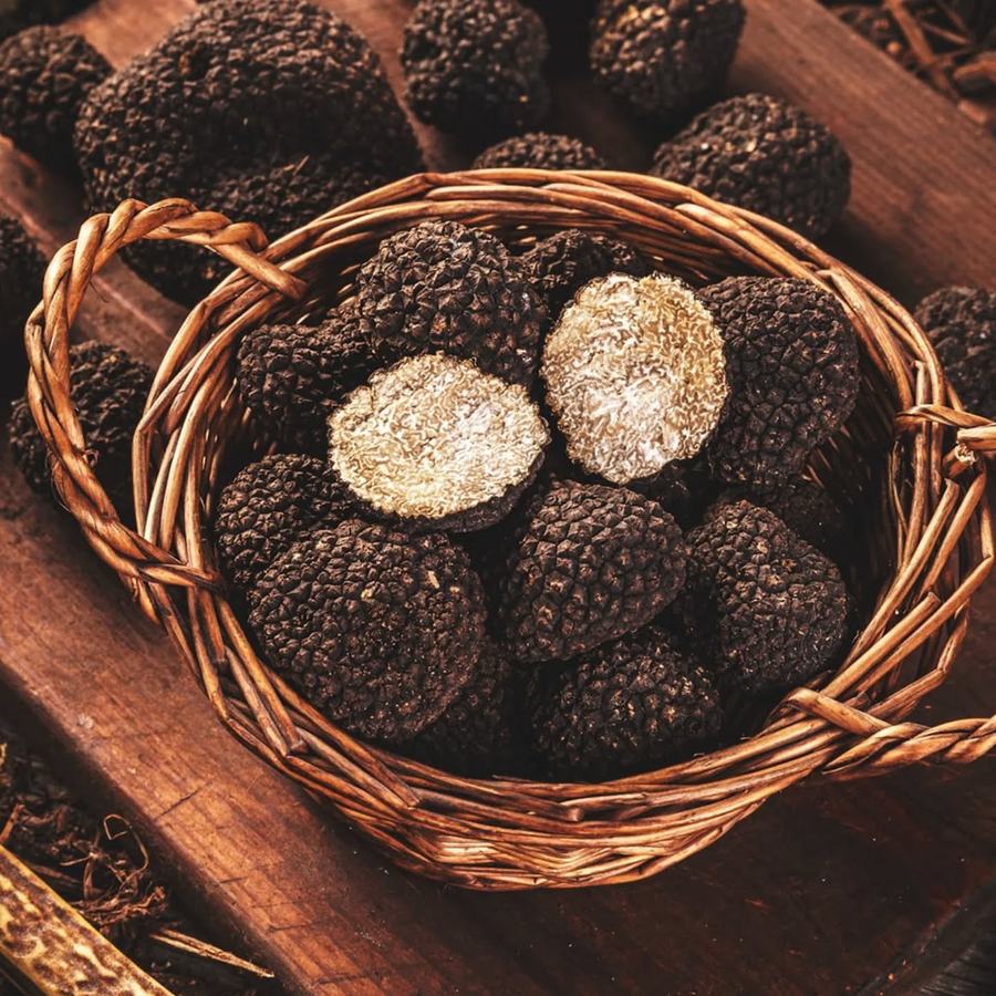 Tartufo nero estivo